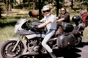 bison behind the bikes