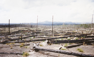 burned Yellowstone Park, 2nd Sept