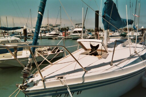 My boat, a 1979 27' Newport sloop, the Twilight Drifter, with my dog, Maggie, poking out of the forward hatch.  Maggie has REALLY big ears!